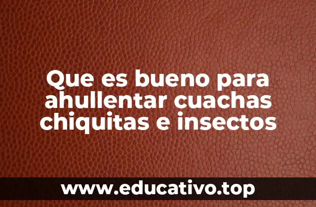 Que es bueno para ahullentar cuachas chiquitas e insectos