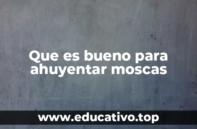 Que es bueno para ahuyentar moscas