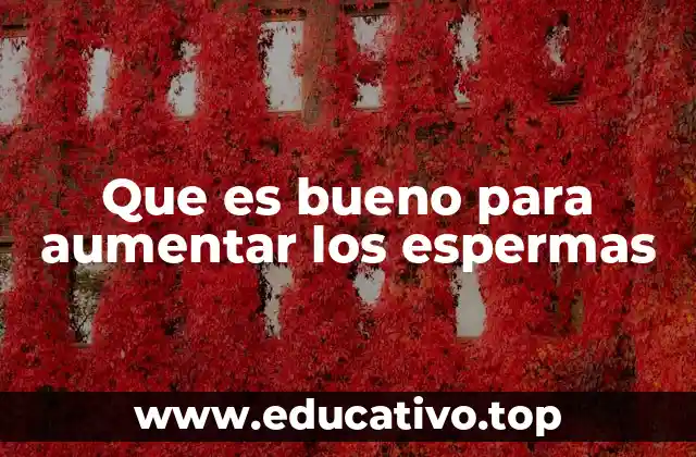 Que es bueno para aumentar los espermas