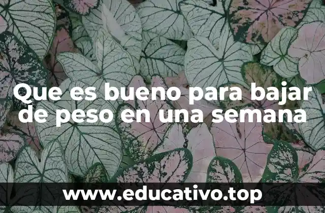 Que es bueno para bajar de peso en una semana