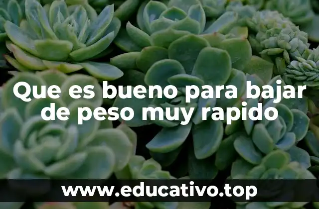 Que es bueno para bajar de peso muy rapido