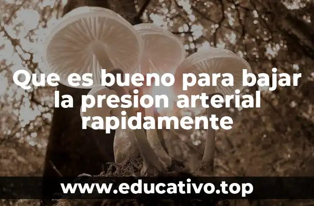 Que es bueno para bajar la presion arterial rapidamente
