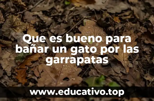 Que es bueno para bañar un gato por las garrapatas