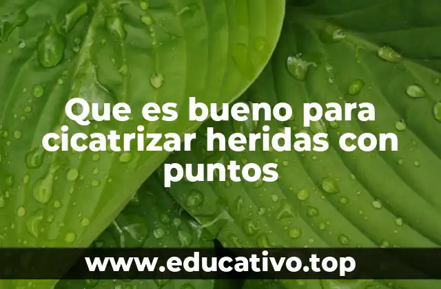Que es bueno para cicatrizar heridas con puntos