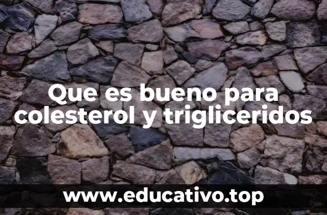 Cómo el estilo de vida afecta los niveles de lípidos en sangre