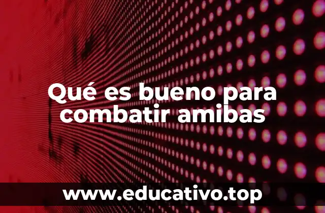 Qué es bueno para combatir amibas