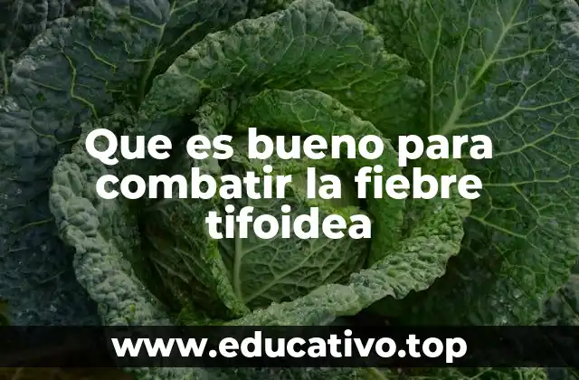 Que es bueno para combatir la fiebre tifoidea