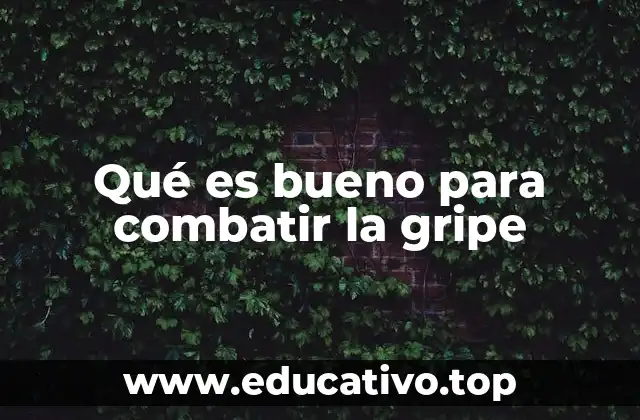 Qué es bueno para combatir la gripe