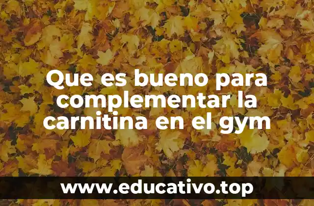 Que es bueno para complementar la carnitina en el gym