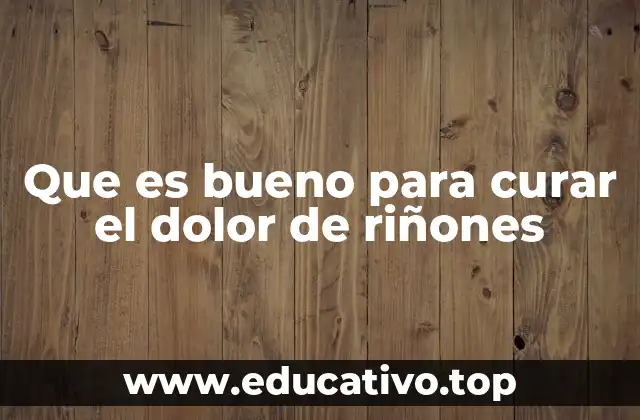 Que es bueno para curar el dolor de riñones