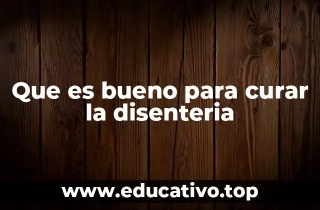 Que es bueno para curar la disenteria