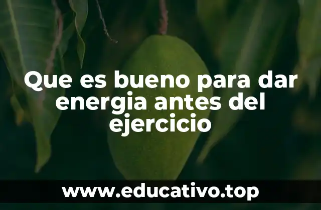 La importancia de los carbohidratos en el aporte energético pre-entrenamiento