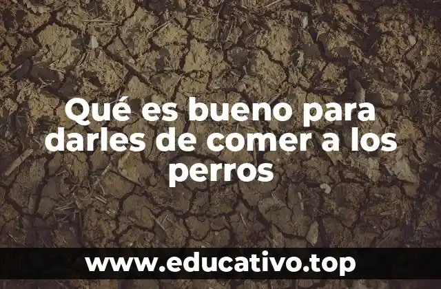 Qué es bueno para darles de comer a los perros