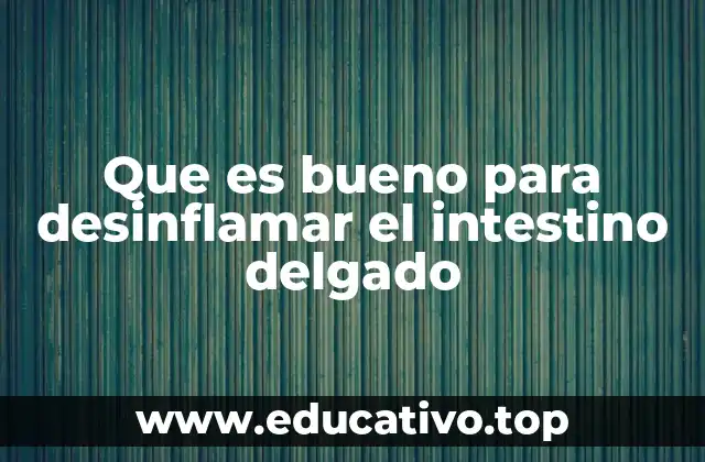 Que es bueno para desinflamar el intestino delgado