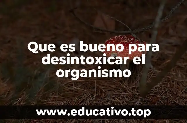 Que es bueno para desintoxicar el organismo