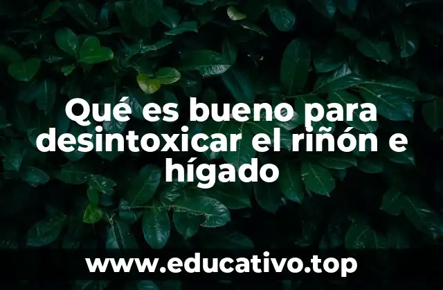 La importancia de mantener una dieta equilibrada para la salud renal y hepática