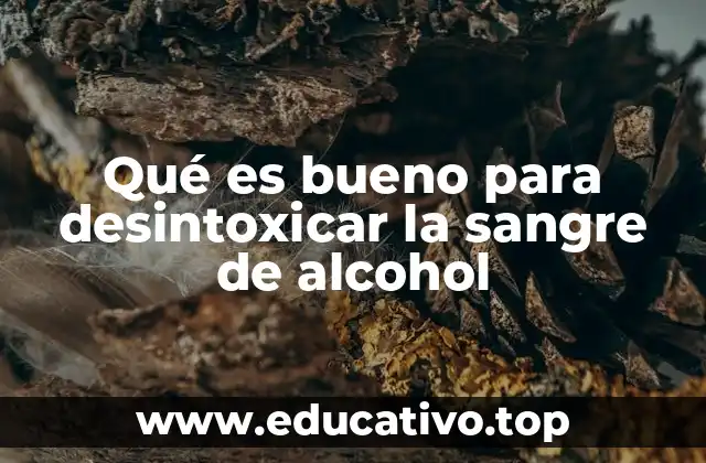 Qué es bueno para desintoxicar la sangre de alcohol