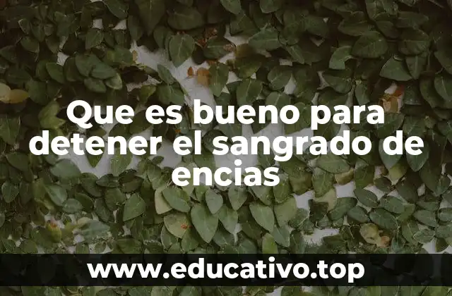 Que es bueno para detener el sangrado de encias