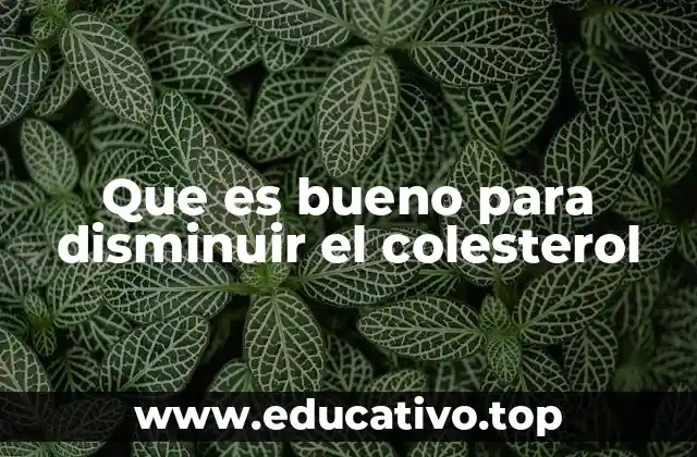 Que es bueno para disminuir el colesterol