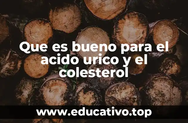 Que es bueno para el acido urico y el colesterol