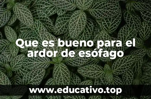 Que es bueno para el ardor de esófago