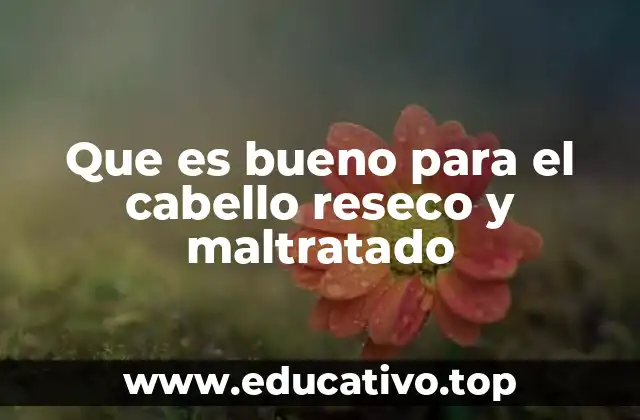 Que es bueno para el cabello reseco y maltratado
