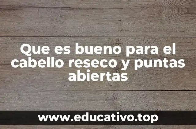 Que es bueno para el cabello reseco y puntas abiertas