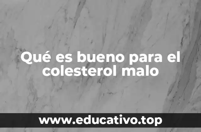 Qué es bueno para el colesterol malo