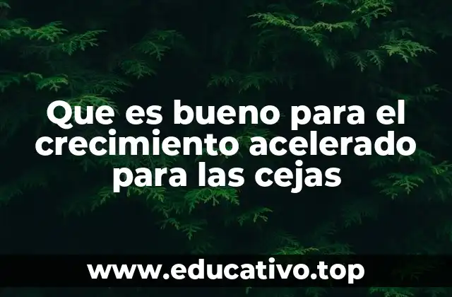 Cómo cuidar las cejas para un crecimiento saludable