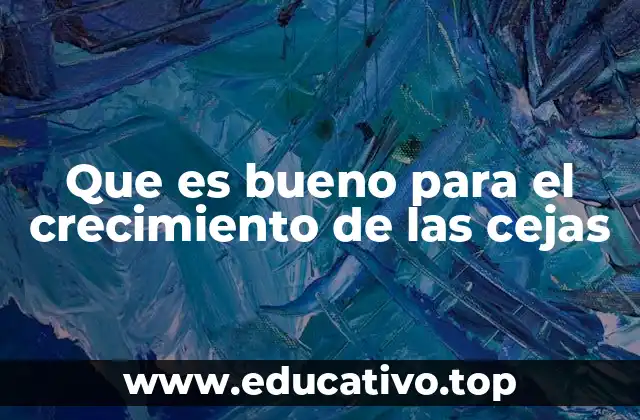 Que es bueno para el crecimiento de las cejas