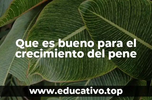 Factores que influyen en la salud y apariencia del pene