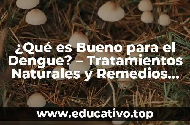 ¿Qué es Bueno para el Dengue? – Tratamientos Naturales y Remedios Caseros
