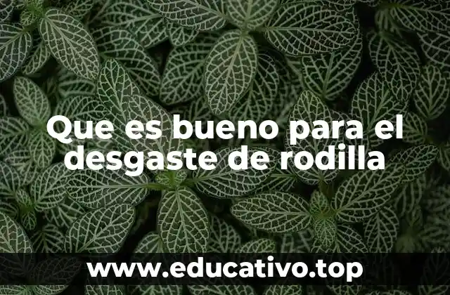 Cómo el estilo de vida influye en el estado de la rodilla