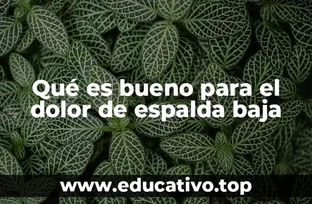 Qué es bueno para el dolor de espalda baja