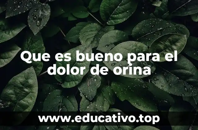 Que es bueno para el dolor de orina