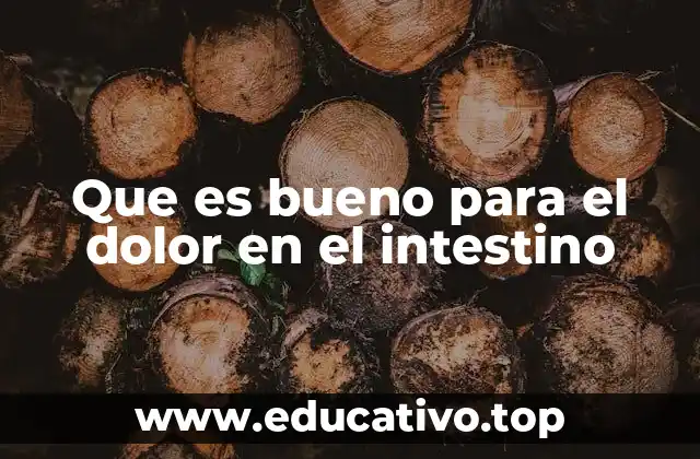 Que es bueno para el dolor en el intestino