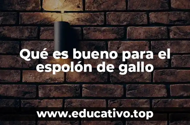 Qué es bueno para el espolón de gallo