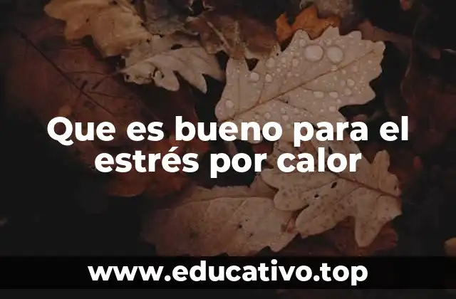 Que es bueno para el estrés por calor