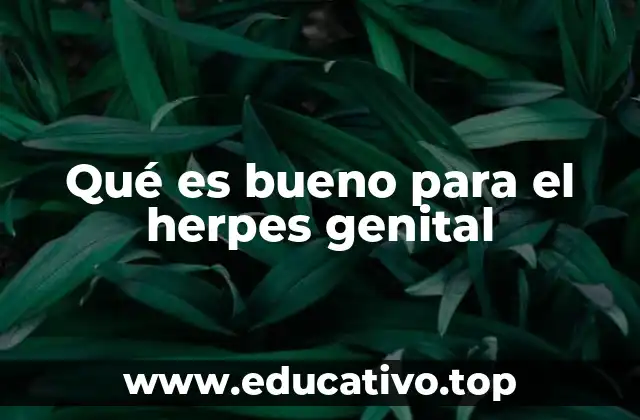 Qué es bueno para el herpes genital