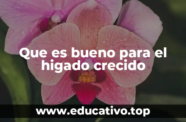 Que es bueno para el higado crecido