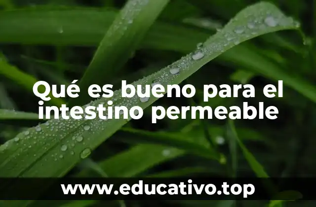 Cómo la dieta influye en la salud intestinal