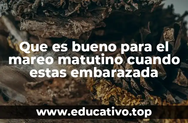 Cómo manejar las náuseas durante el embarazo sin recurrir a medicamentos