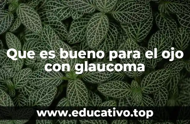 Que es bueno para el ojo con glaucoma