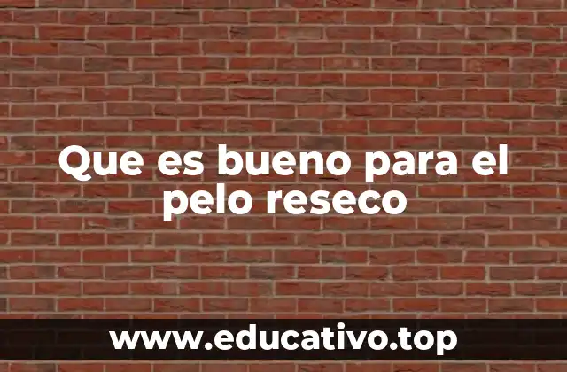 Que es bueno para el pelo reseco