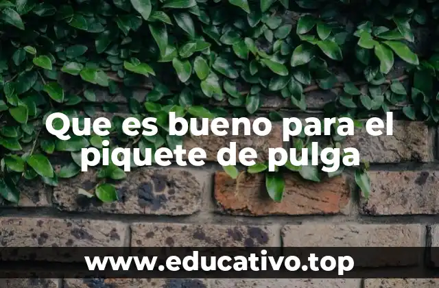 Que es bueno para el piquete de pulga