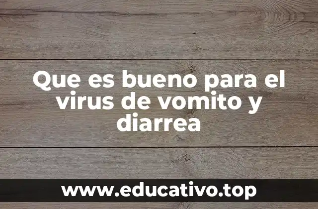 Que es bueno para el virus de vomito y diarrea