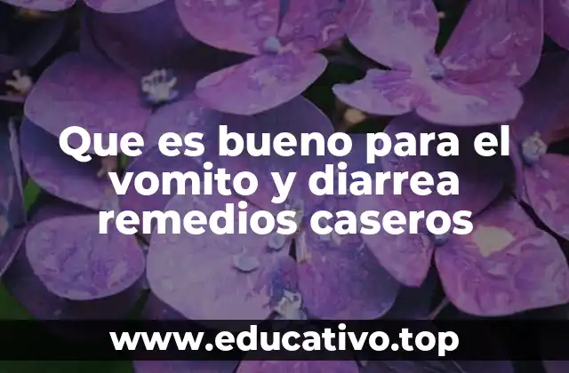 Que es bueno para el vomito y diarrea remedios caseros