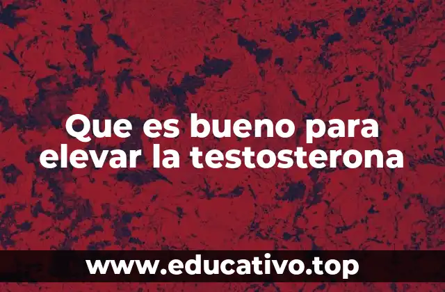 Que es bueno para elevar la testosterona
