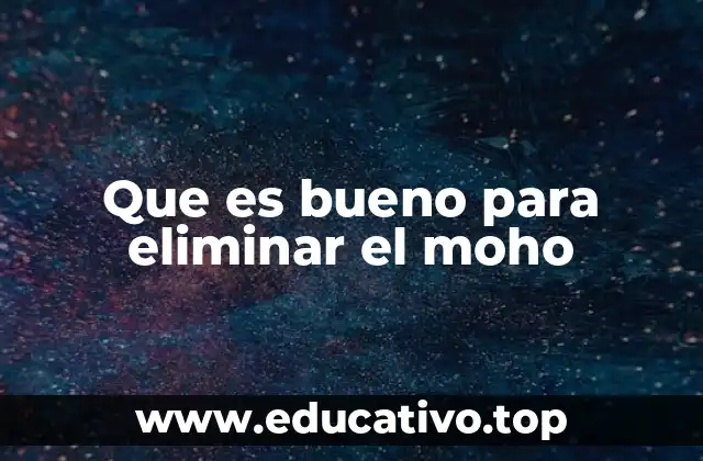 Que es bueno para eliminar el moho
