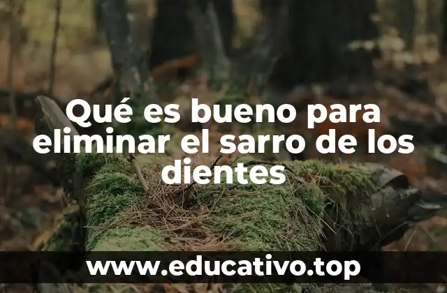 Qué es bueno para eliminar el sarro de los dientes